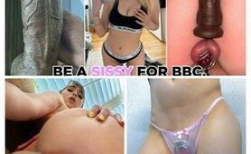 BBC Sissy QOS Collages