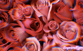 Hypno Gif