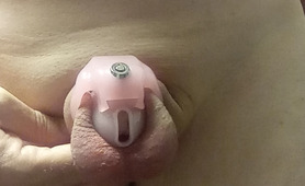 Caged Clitty