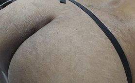 Sissy Boipussy