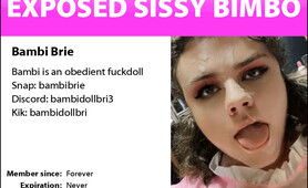 Bambi Brie Sissy ID