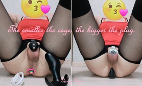 The Smaller The Cage - The Bigger The Plug