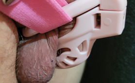 Was Worried My New Cage Would Be Too Small