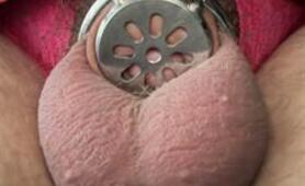 My First Time Caging My Clitty