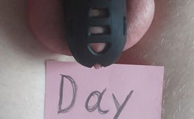 Day 4 Out Of 6