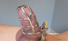 Cage Barely Holding Me In