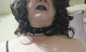 Pussy Free Loser