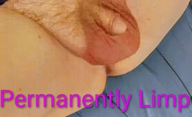 Penis