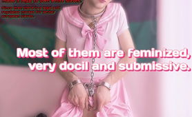 Training Is Successful