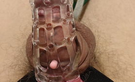 Three Sessions For The Cage