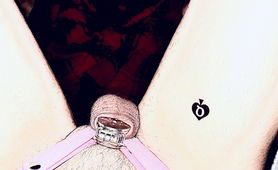 BBC Pussy Free