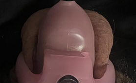 My Lil Sissy Clitty