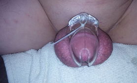 Small Cock