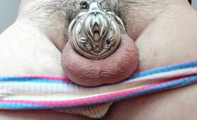 Short Male Useless Turtle