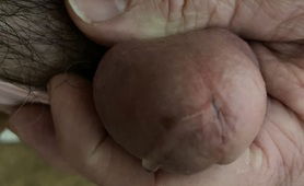 Sissy Panties And Sissy Penis