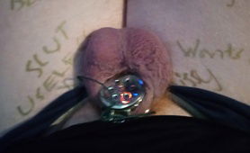 I Love My Cages