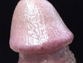 Tomford00069
