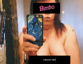 Niccibimbo