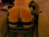 Logantied562
