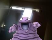 Qeduseggzee
