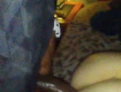 ScorpioBulls