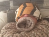Woolslave