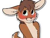BoundBunnyBoy
