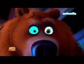 Curiousbear