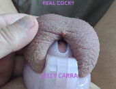 Sissycarra