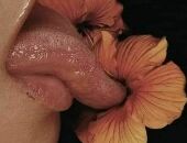 Sil7ester