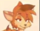Wolfinter