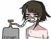 Katypig