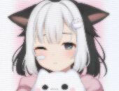 Toky0doll