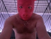 Piggyloser