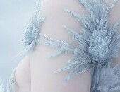 IceQueen24