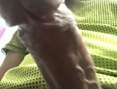 Wolf85