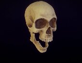 JoeBonesAlot