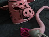 Piggles
