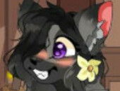 KiraAddenwolf