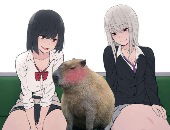 Karakami