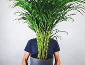 Sntavai