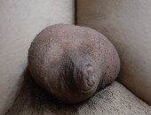 BNWOyellowclit