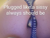 SissySeras
