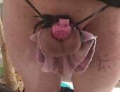 Pinixpie
