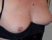 Shelley333