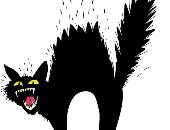 ScaredeyCat