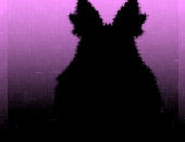 BlackyHypnosis