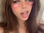 Tsltaylor
