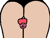 VeronicaTheSissySlut