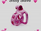 Sissyxysub